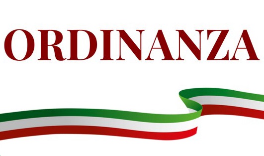 Ordinanza n. 15/2020